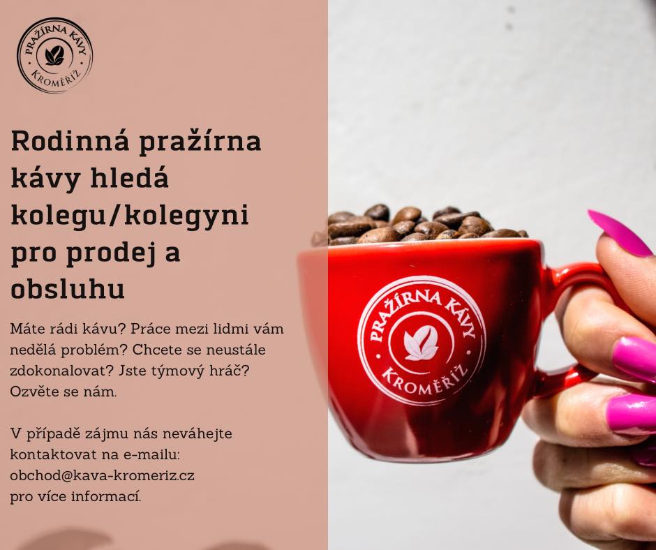 nabídka práce