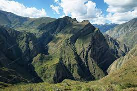 Peruánská káva Carhuajulca roste v nadmořských výškách okolo 2.000 m.n.m.