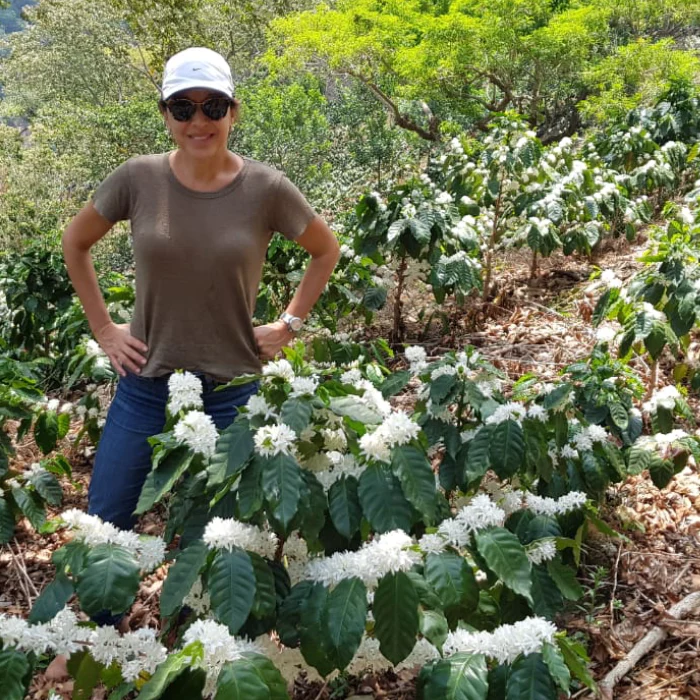 El Salvador - Finca Madre Tierra & Lemus