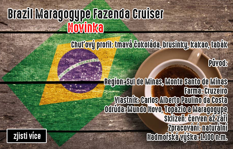 Brasil Maragogype Cruiser