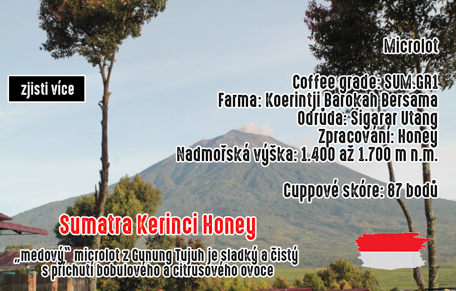 Káva ze Sumatry