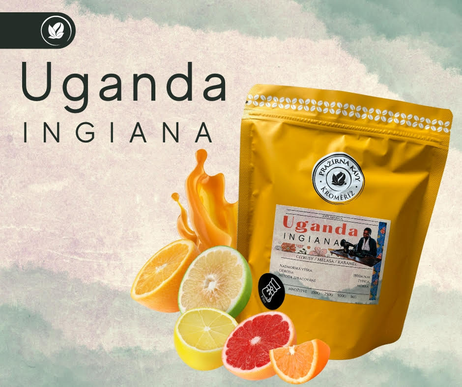 Uganda Ingiana