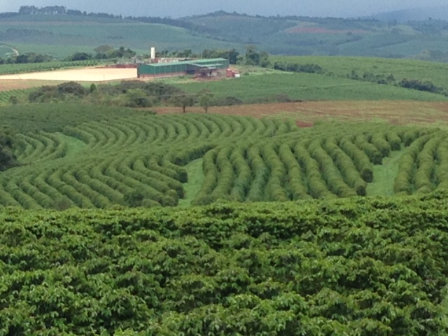 Brazílie Fazenda La goa