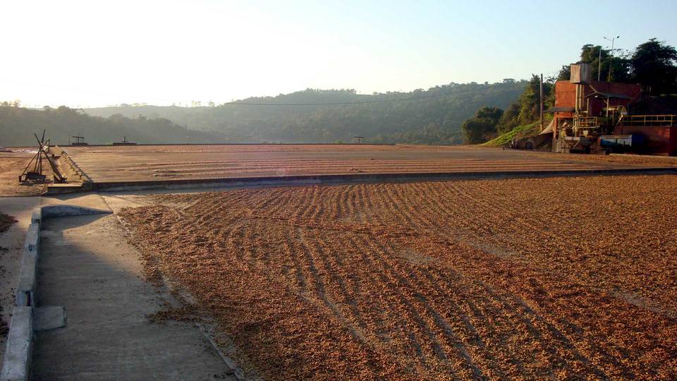 Brazílie Fazenda La goa