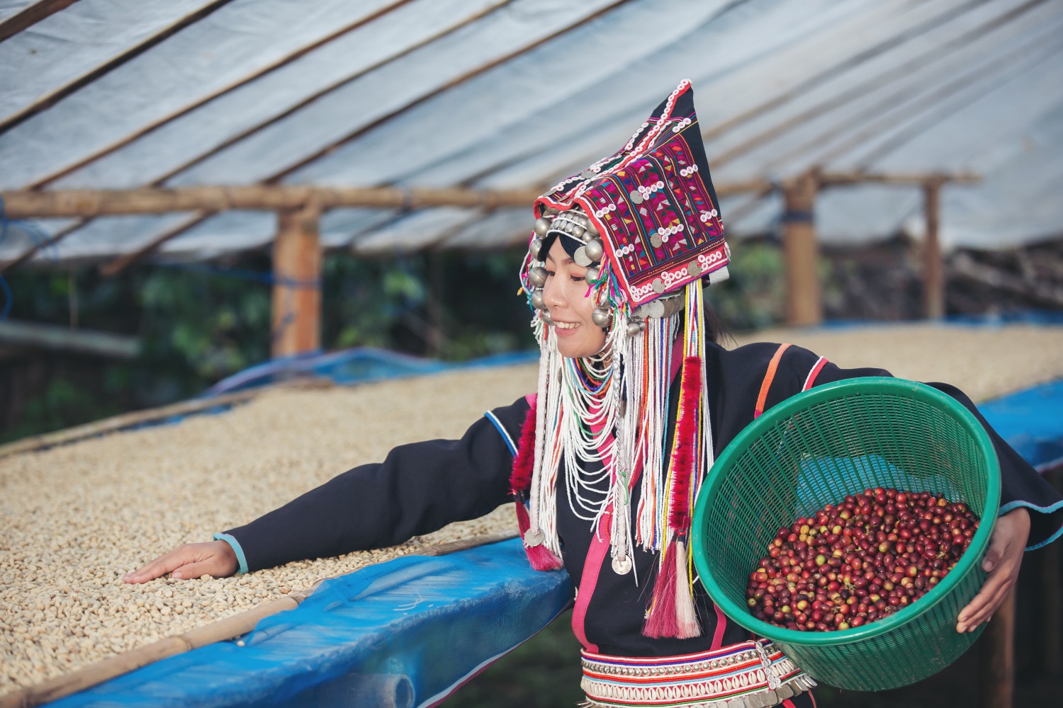 Papua New Guinea Sigri