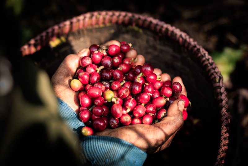 Burundi Kiryama 250g