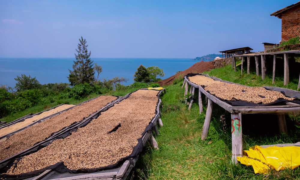 Rwanda Kabyiniro 250g
