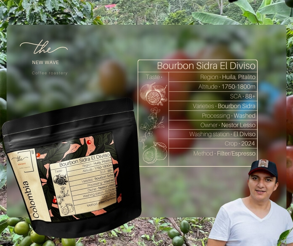 Colombia – Bourbon Sidra El Diviso Washed