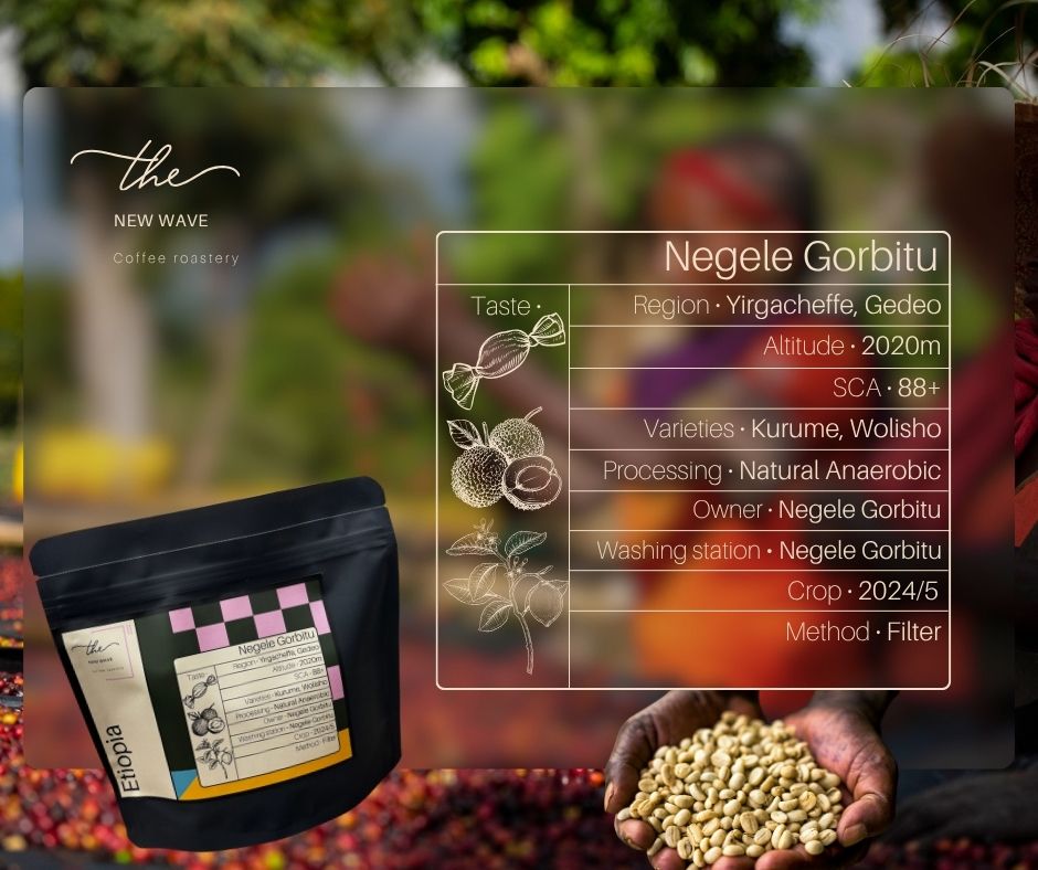 Etiopie – Negele Gorbitu Natural Anaerobic