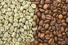 INDIA Parchment AB scr.16 robusta