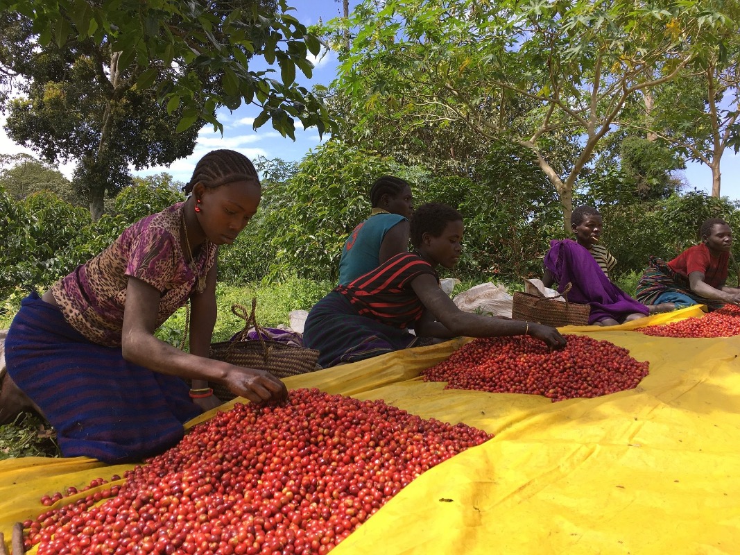 Burundi Kiryama 250g