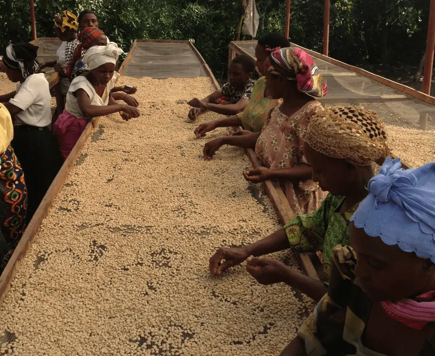 Uganda Bugishu Balambuli