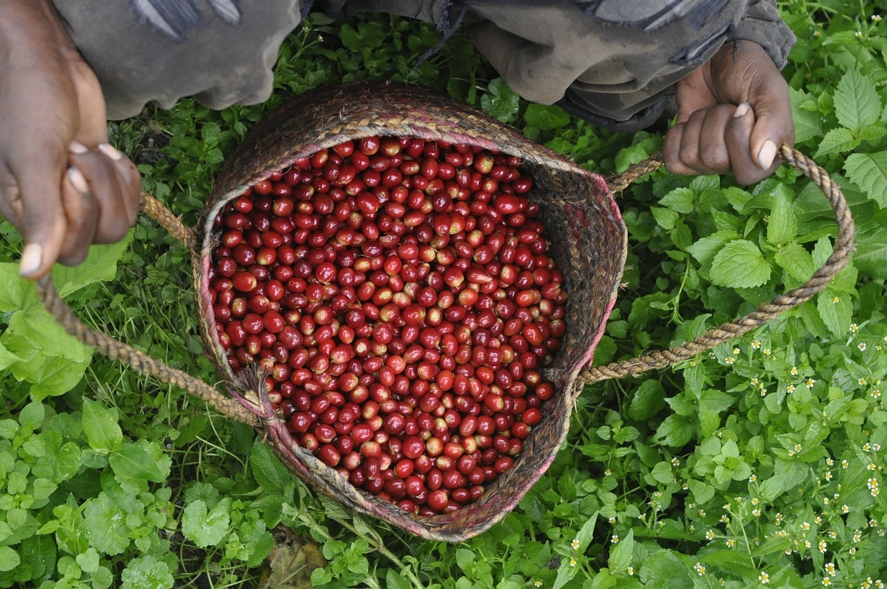 Sumatra Asman Arianto 250g