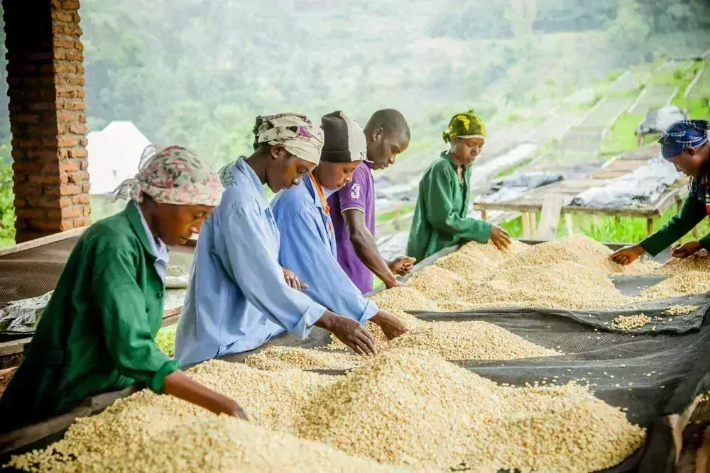 Rwanda Gitesi 250g