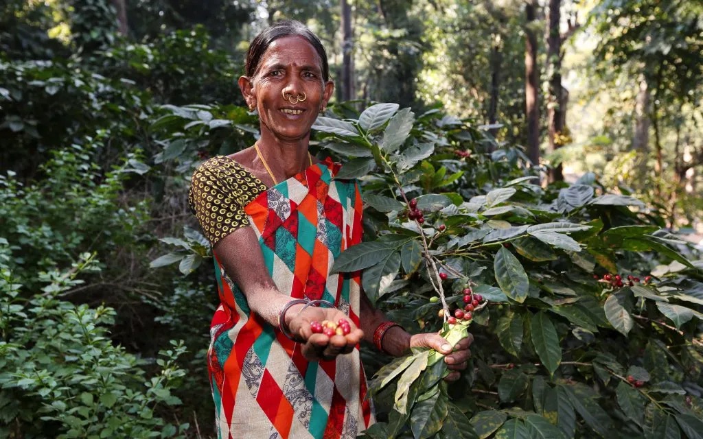 India Bababudangiri