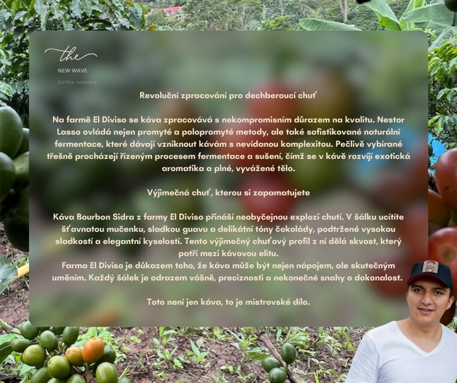 Colombia – Bourbon Sidra El Diviso Washed