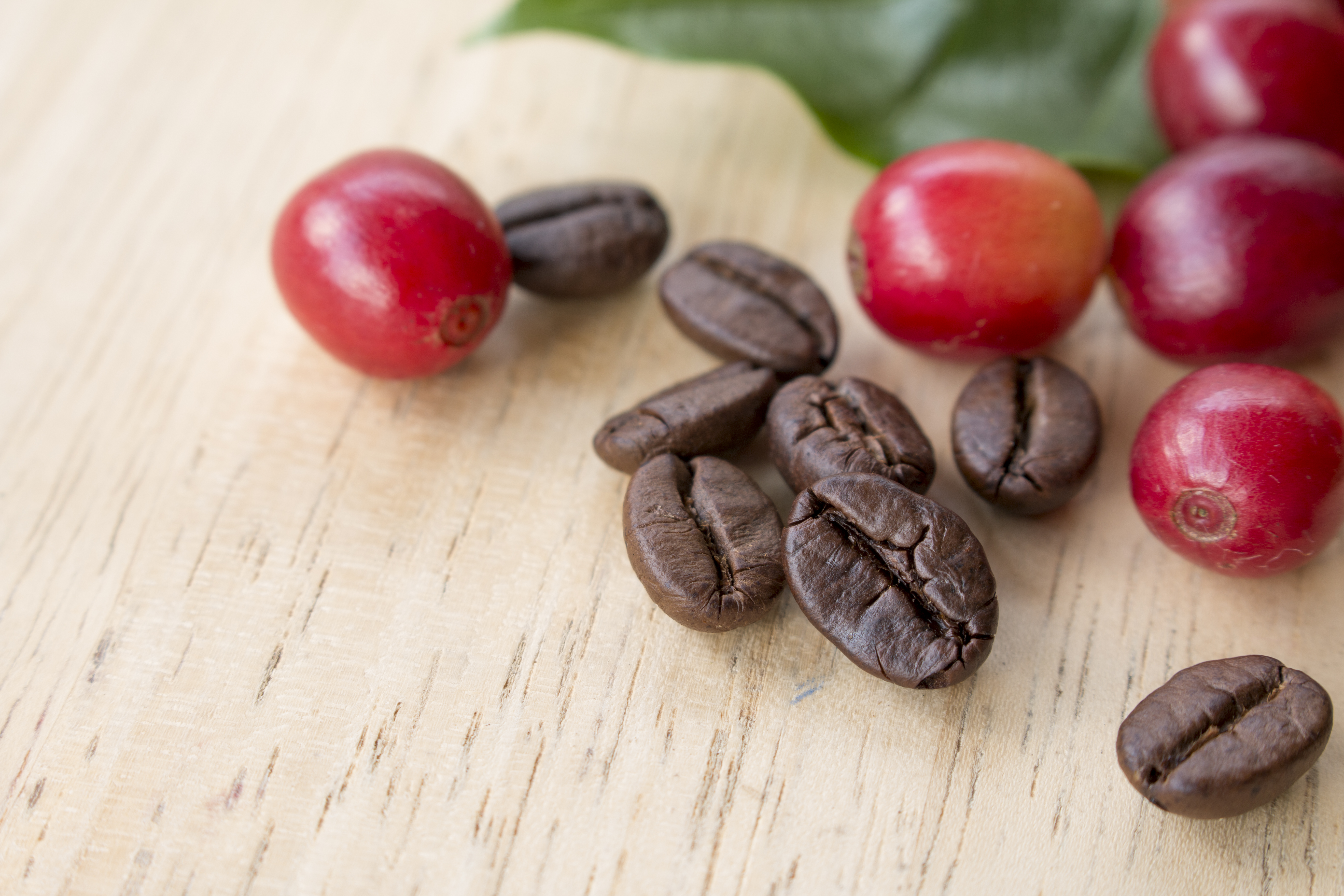 Espresso směs Palermo