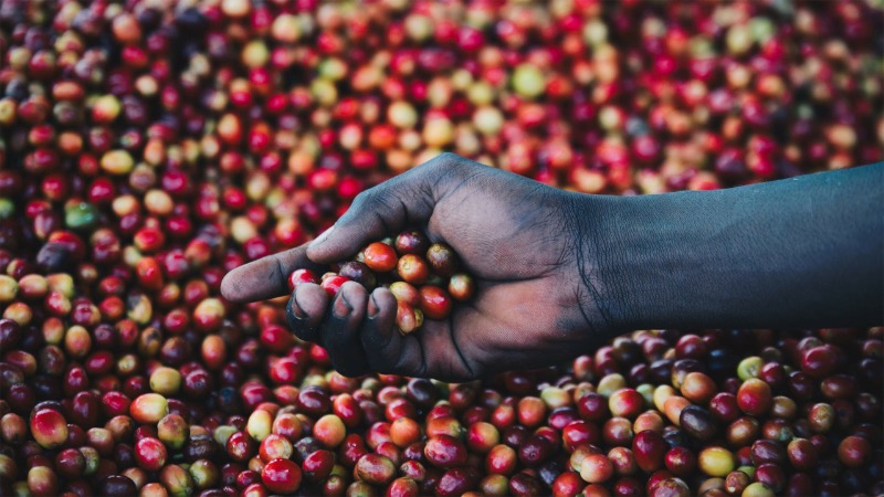 Rwanda Kabyiniro 250g