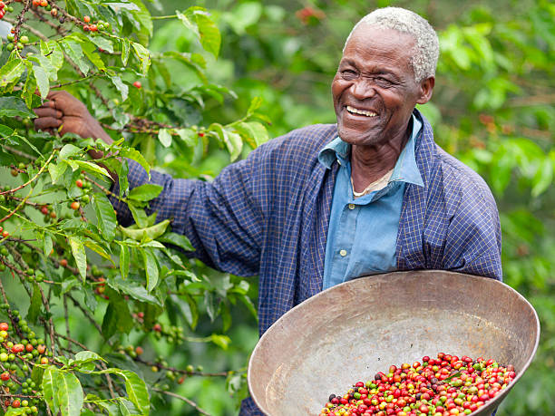 Burundi AA Fully Washed TOP