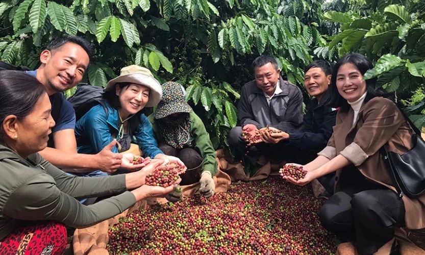Vietnam Arabica Lam Dong, Washed, scr. 16