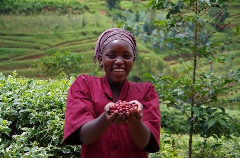 Rwanda Kabyiniro 250g
