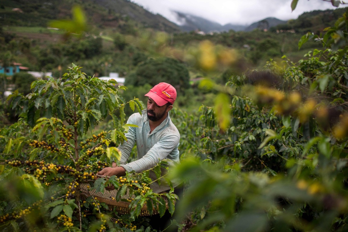 Columbia Narino Buesaco de Altura Excelso